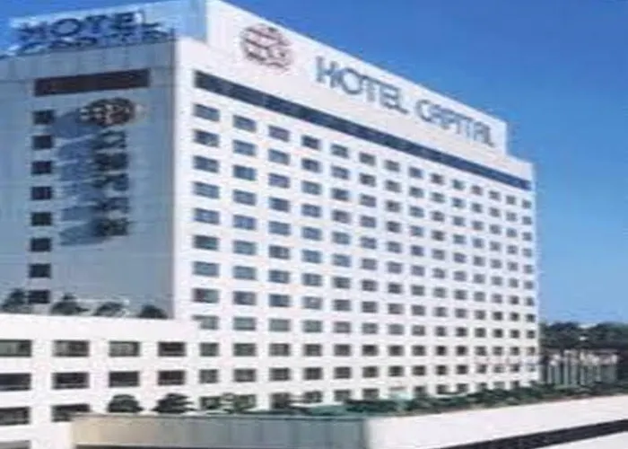 ホテル Capital 4*